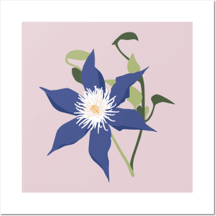 Blue Purple Clematis Flower Posters and Art